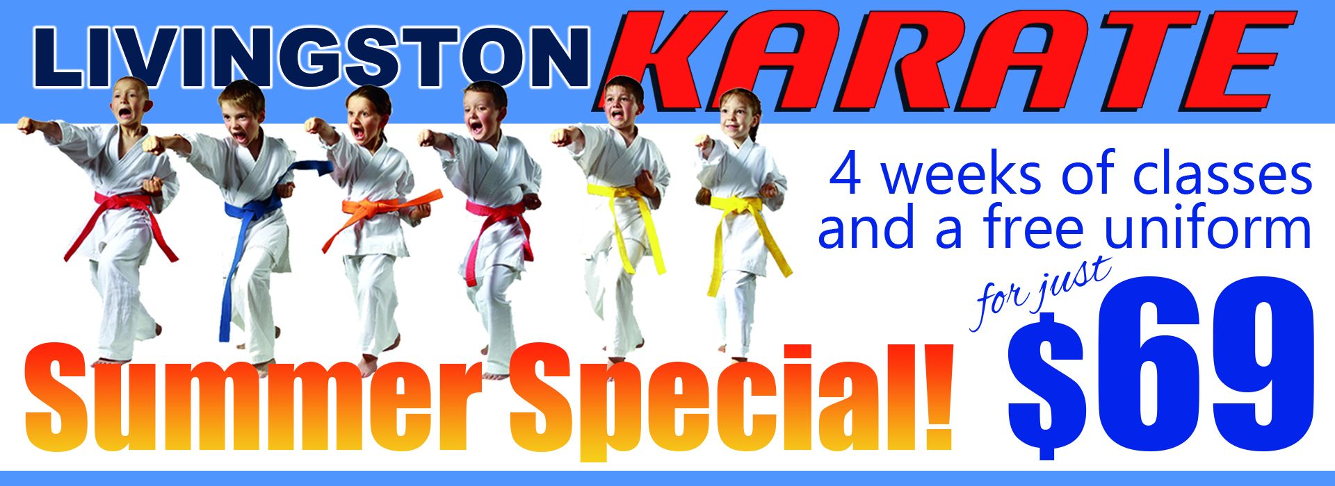 Livingston Karate Training Center photo